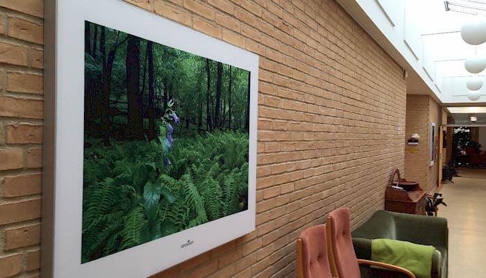 At Sonovision help fight poor acoustics in hospitals and nursing homes with sound absorbing pictures with stress relieving motives