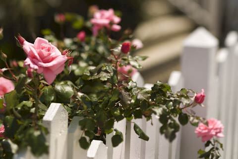 Hospitalskunst med fotografisk afbildning af blomster 